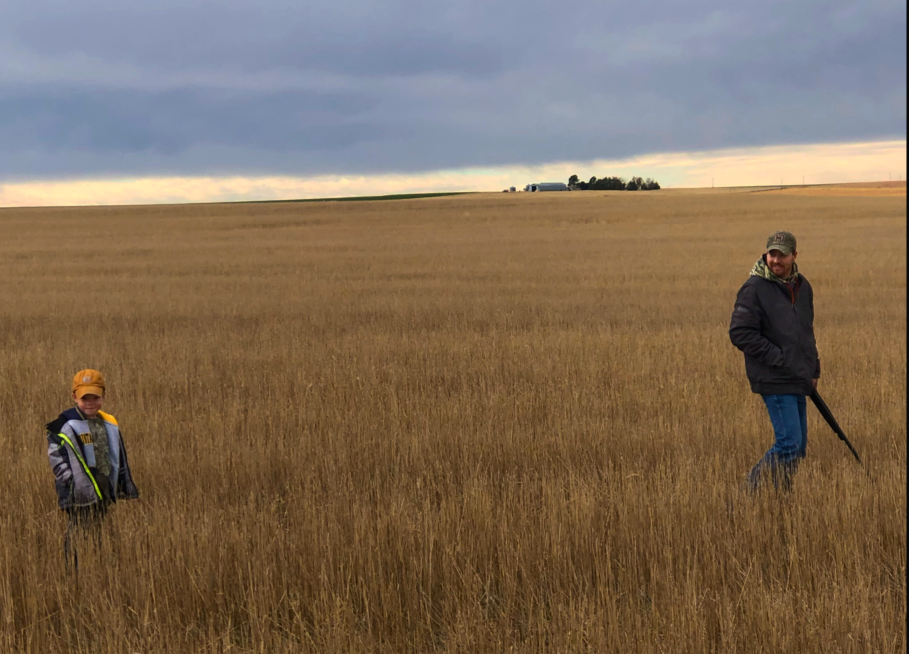 Where to Hunt Pheasants: A Comprehensive Guide