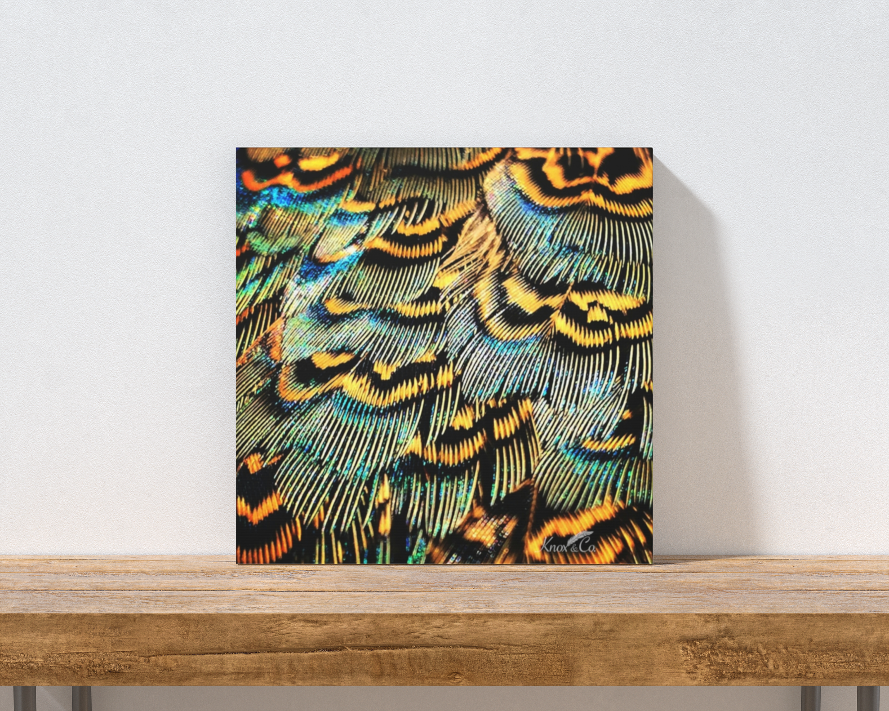 Canvases