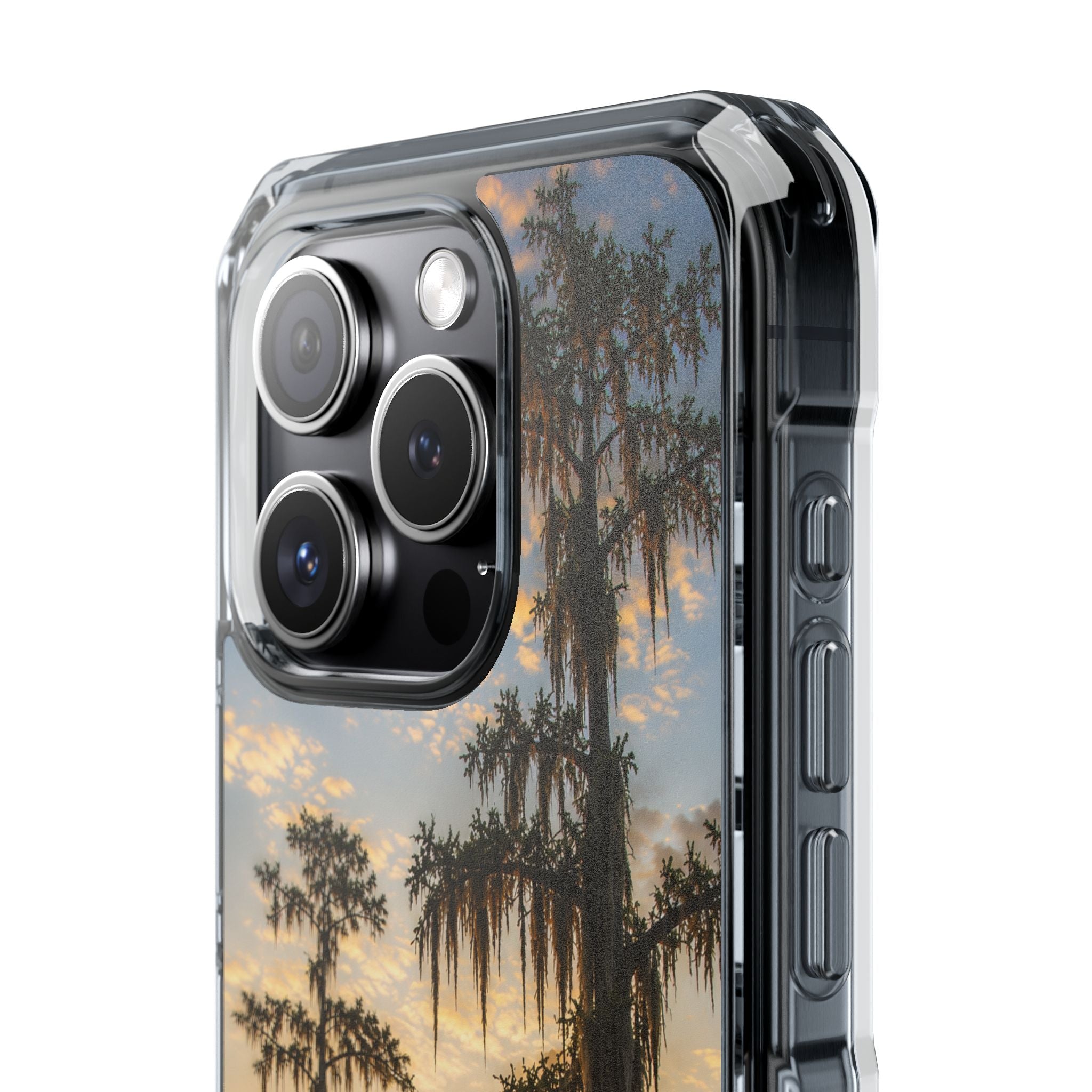 Cypress Sunrise Phone Case