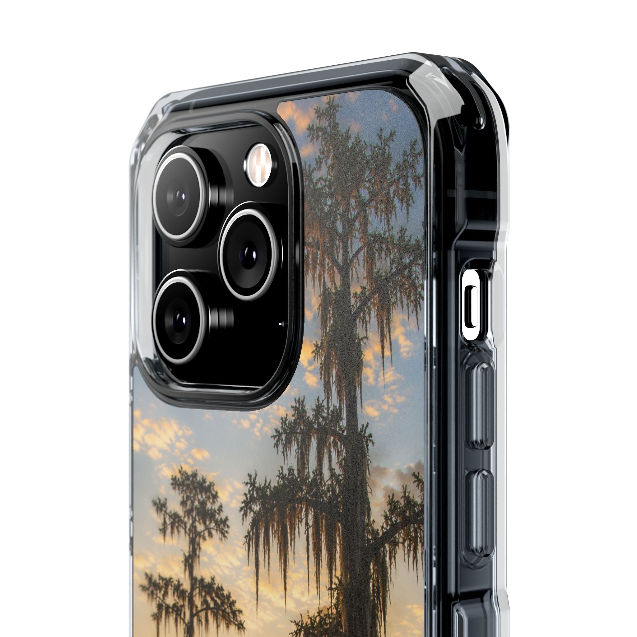Cypress Sunrise Phone Case
