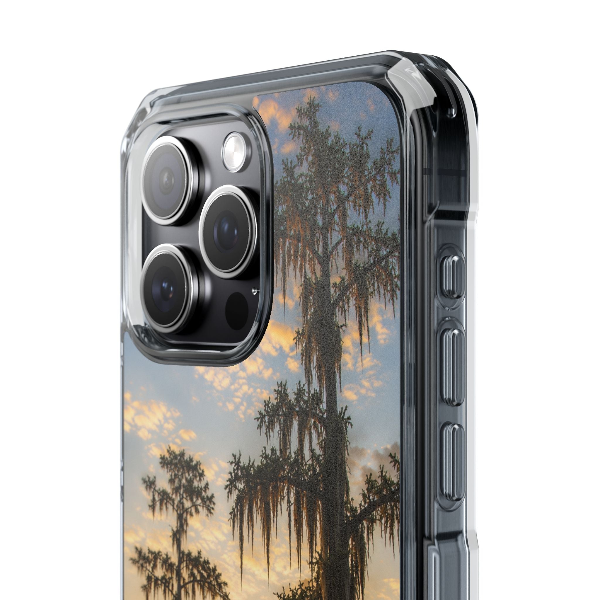 Cypress Sunrise Phone Case